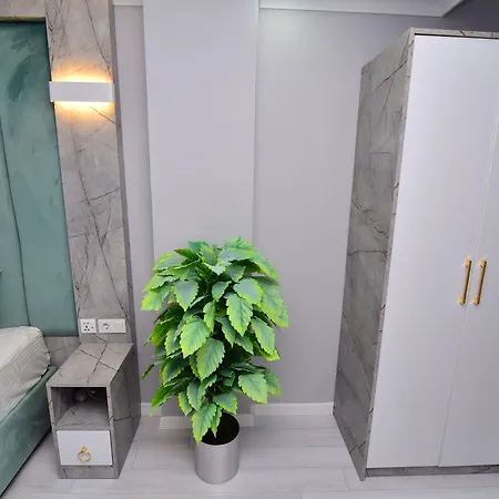 Little Sofia ベッド・アンド・ブレックファスト イスタンブール