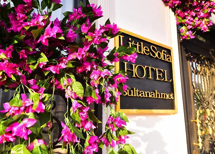 Bed and breakfast Little Sofia