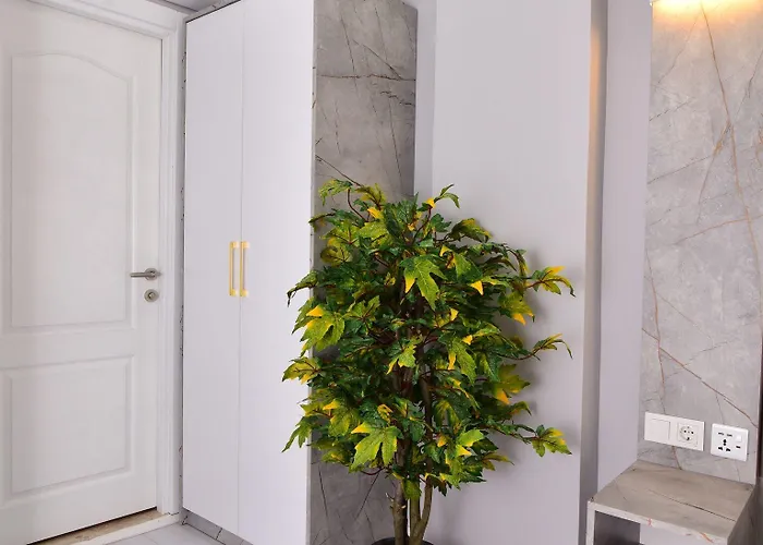 Little Sofia Bed and breakfast Estambul