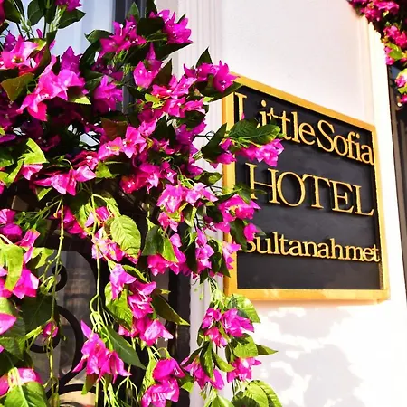 Bed & Breakfast Little Sofia