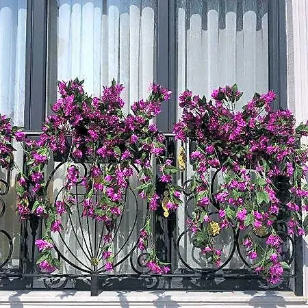 Little Sofia Bed & Breakfast