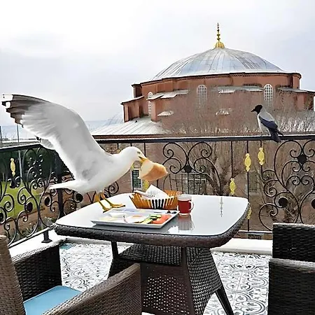 Bed & Breakfast Little Sofia