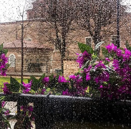 Bed & Breakfast Little Sofia 4*